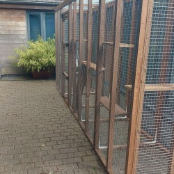17FT X 3FT X 8FT TALL Freestanding Catio Enclosure 